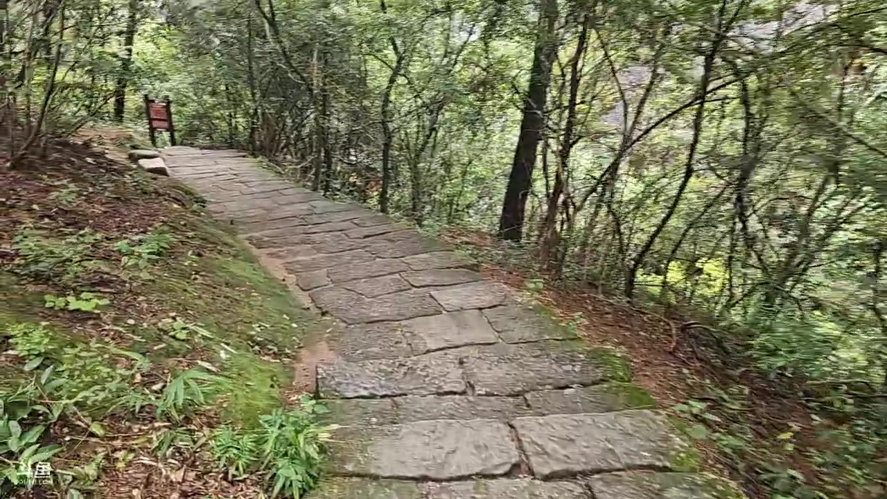 【2023-08-27 10点场】蓝战非OvO：福建武夷山～环游第161天