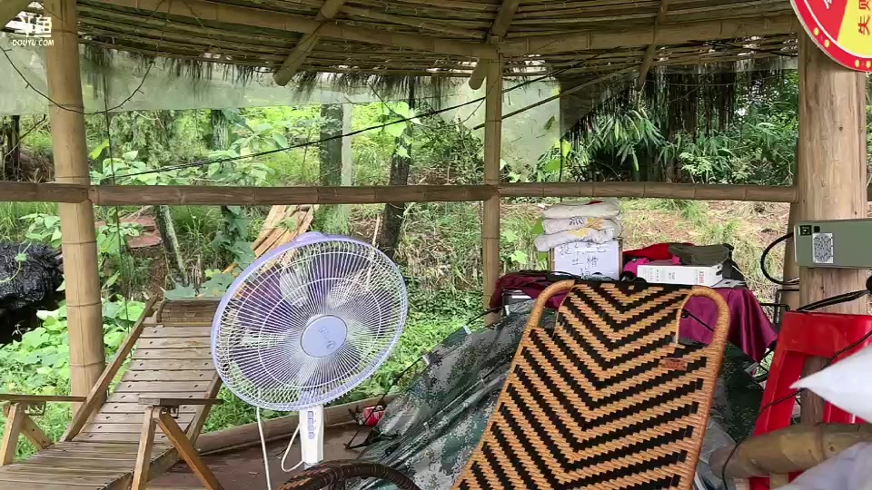 【2023-8-26 16点场】惠娜娜呀:【小奶团】985团播