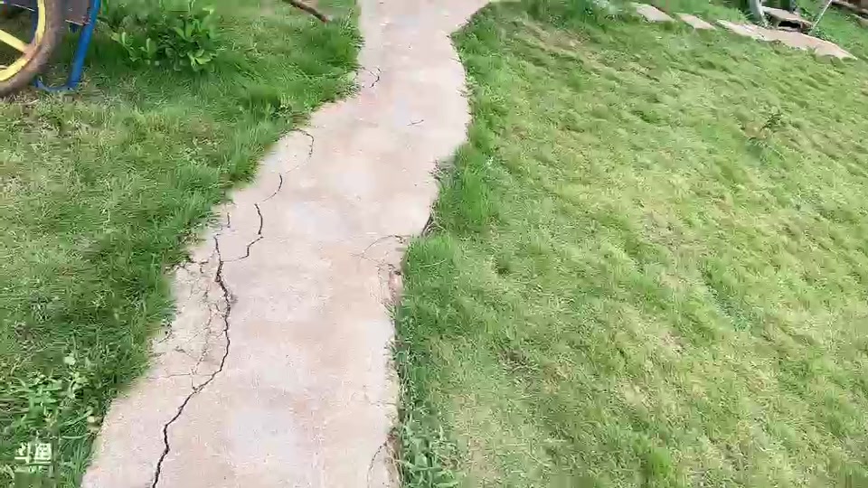 【2023-8-24 14点场】惠娜娜呀:【小奶团】985团播