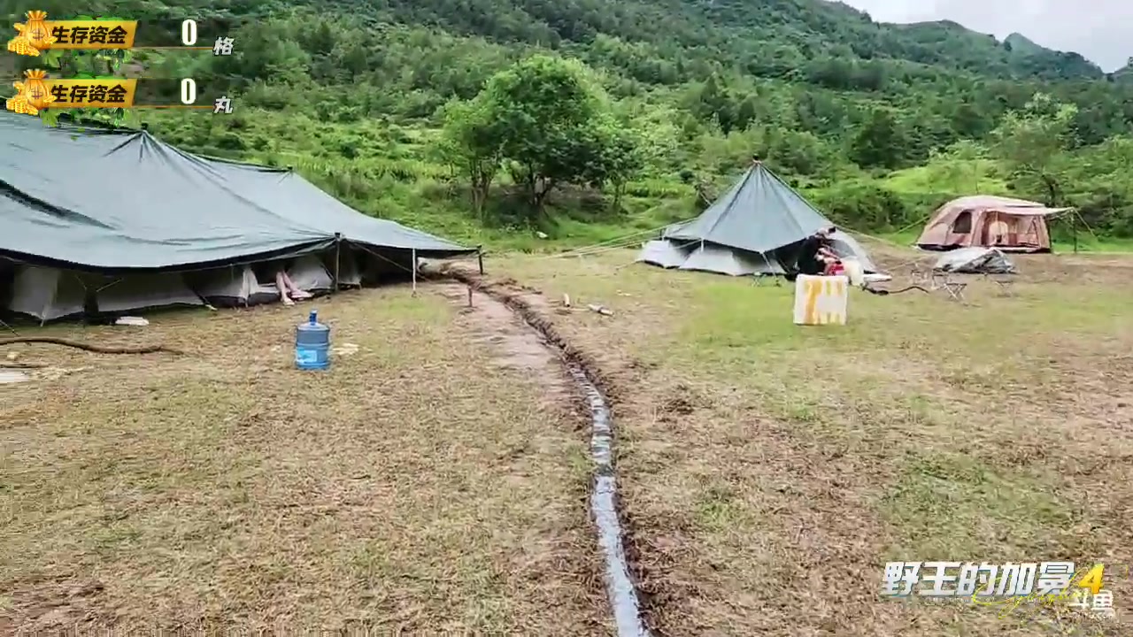 【2023-08-28 12点场】格局OoO：《野王的加冕4》DAY4联盟对决日