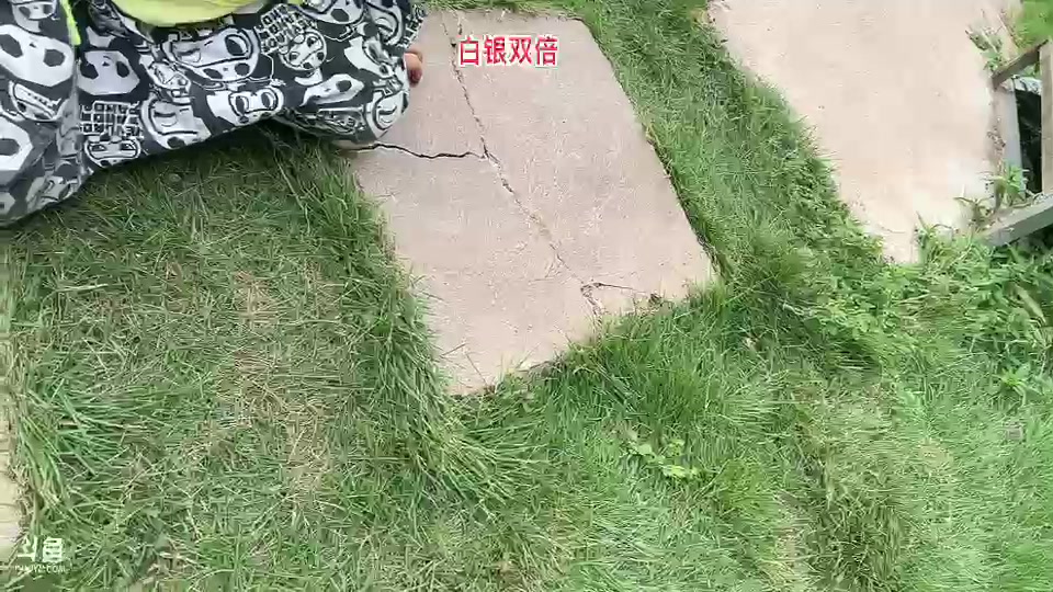 【2023-8-23 15点场】惠娜娜呀:【小奶团】985团播