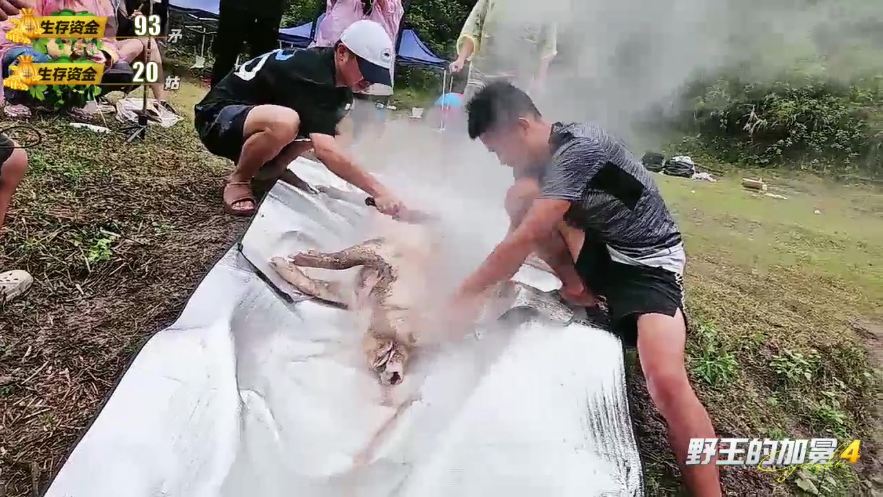 【2023-08-28 18点场】石页的第一根矛s：《野王的加冕4》Day4联盟对决日.。