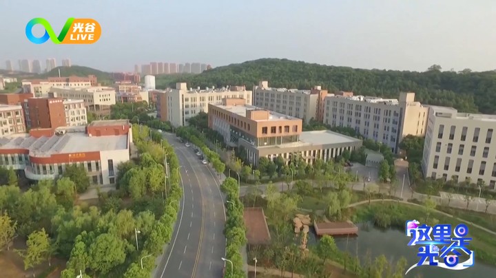 20230828这里是光谷