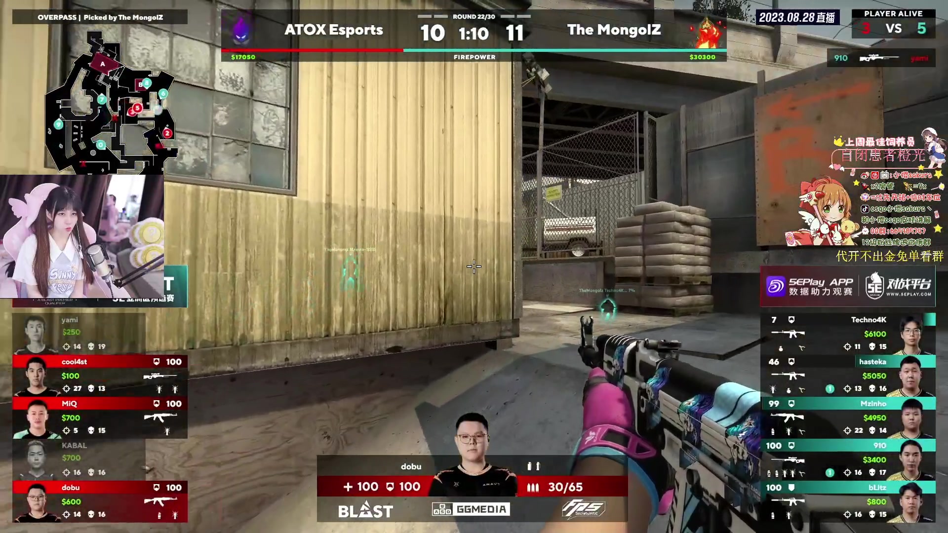 【2023-08-28 15点场】小樱sakura灬：【小樱】blast预选赛，中国队加油