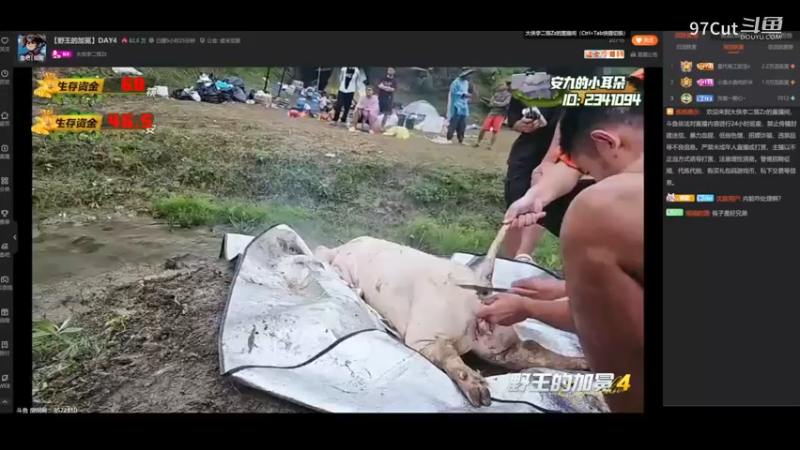 斗鱼官方野王杀猪节目 (3)