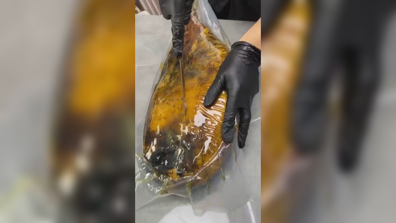 西班牙黑标火腿，真是美味啊