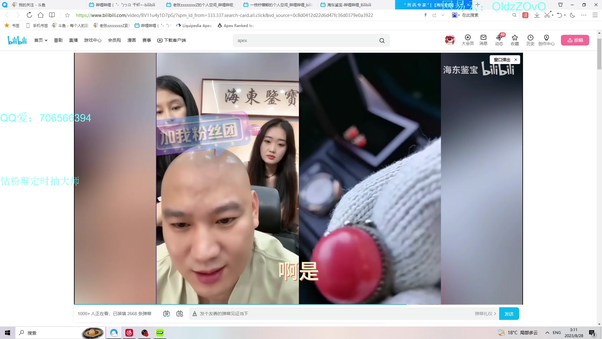 【2023-08-28 03点场】老张zzzzzzzzZ：看我十分钟 坐牢你也可以