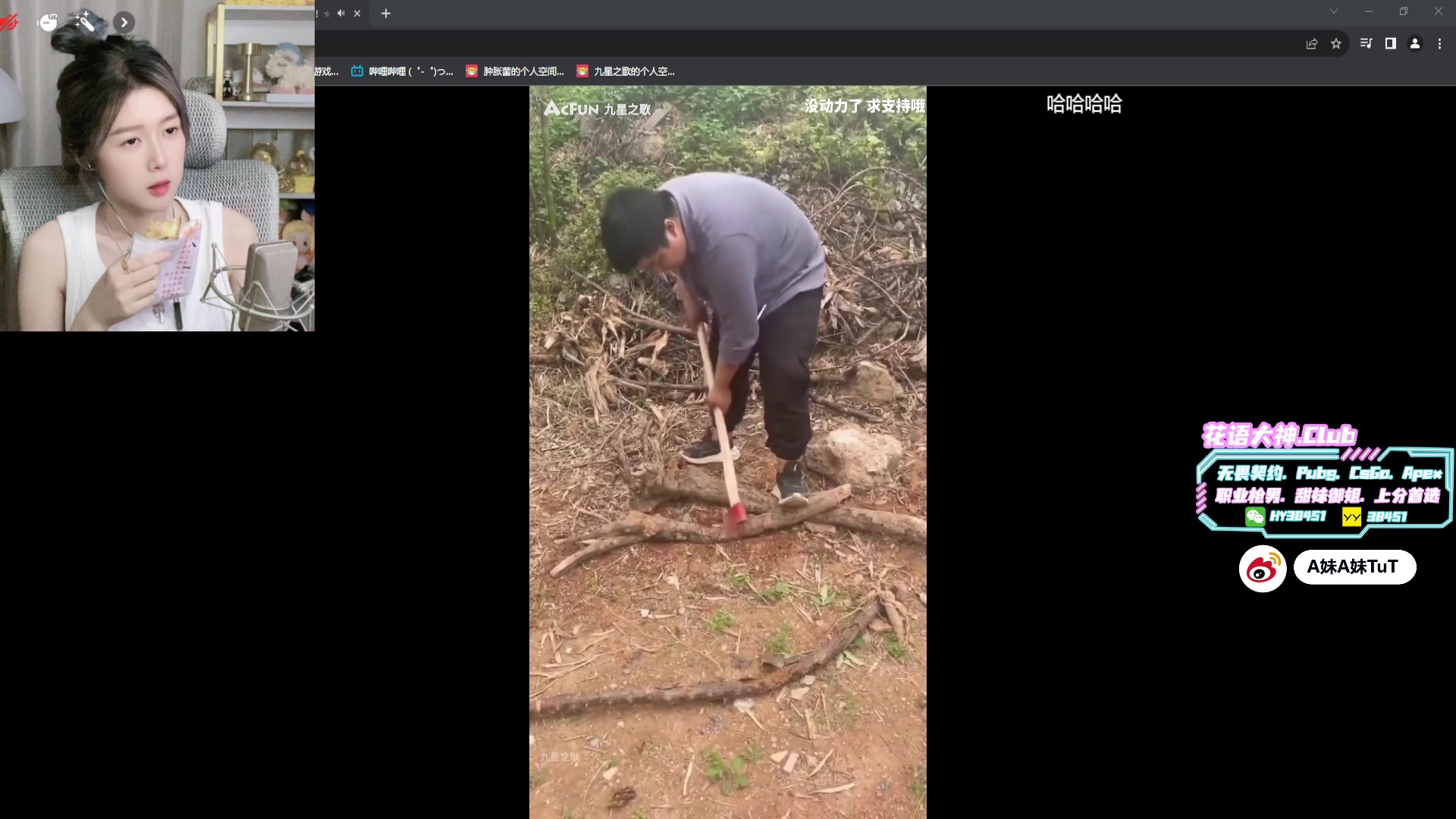 【2023-08-29 18点场】A妹A妹：【呆猪】人间水蜜桃