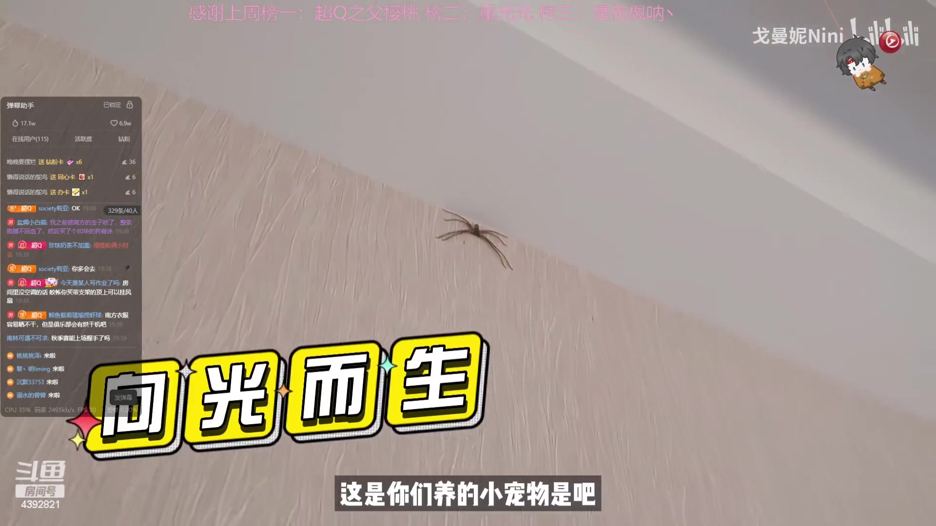 【2023-08-30 18点场】你超Q的：我回来啦!!! 4392821