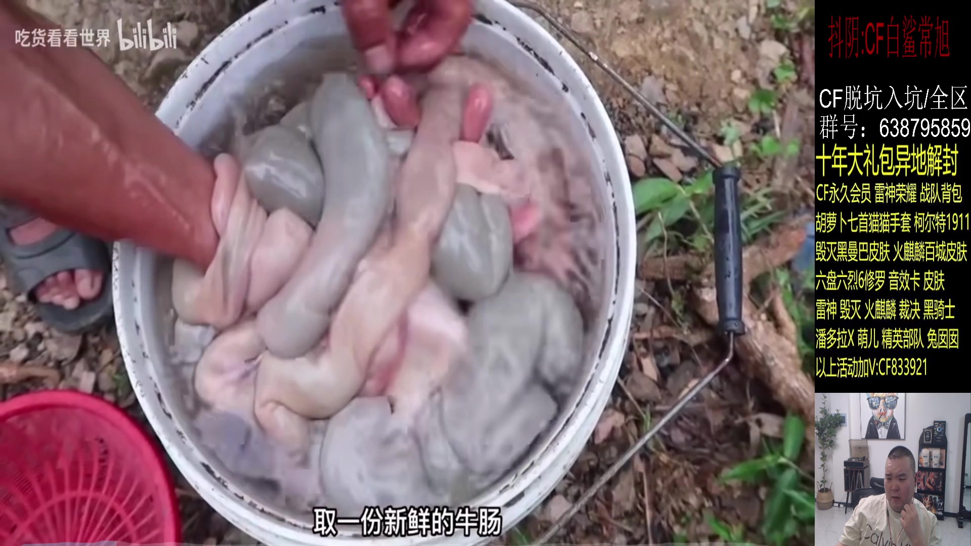 【2023-08-30 00点场】白鲨常旭DBQ：启动启动.北部滥杀