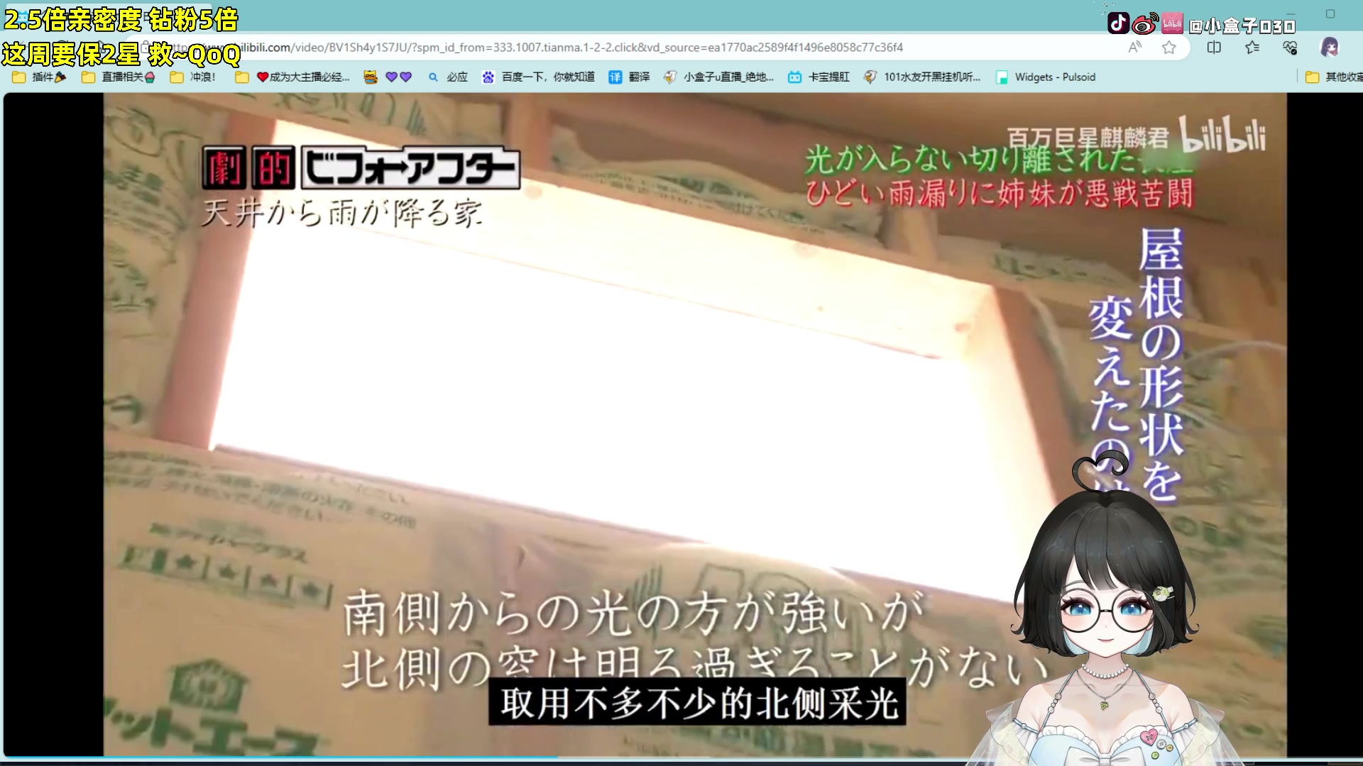 【2023-09-01 19点场】小盒子o3o：【少爷，你的初恋开播啦】