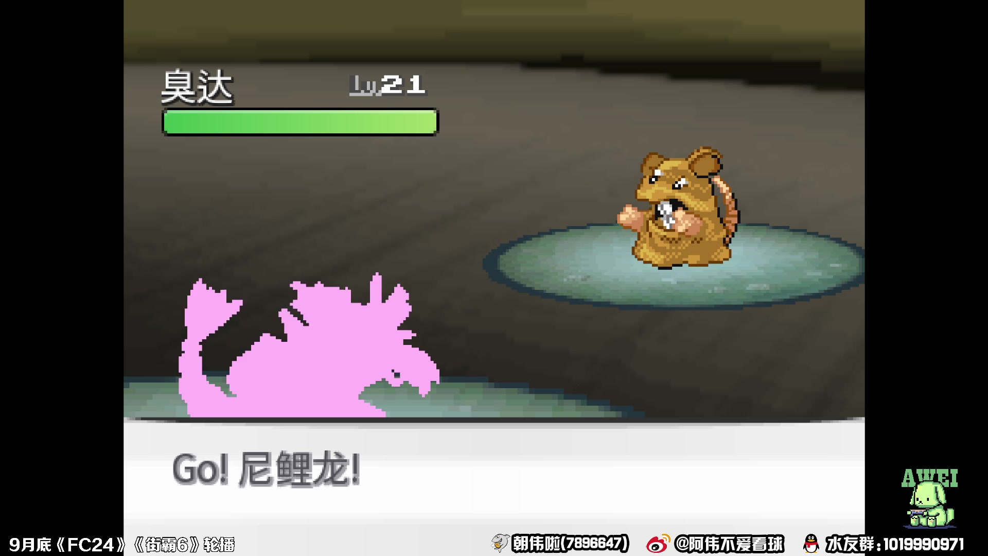 【2023-08-31 23点场】朝伟啦：阿伟：宝可梦无限融合！
