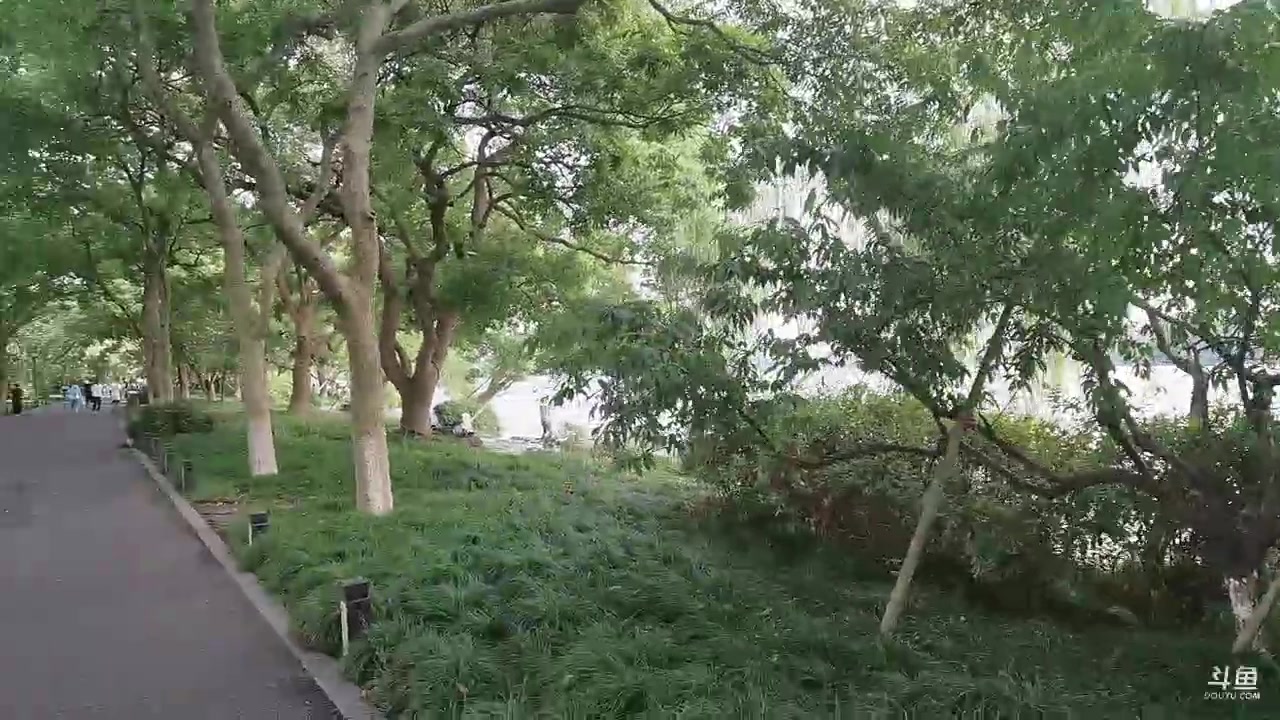 【2023-09-01 09点场】胡嘉一：一嘉社快乐再出发！