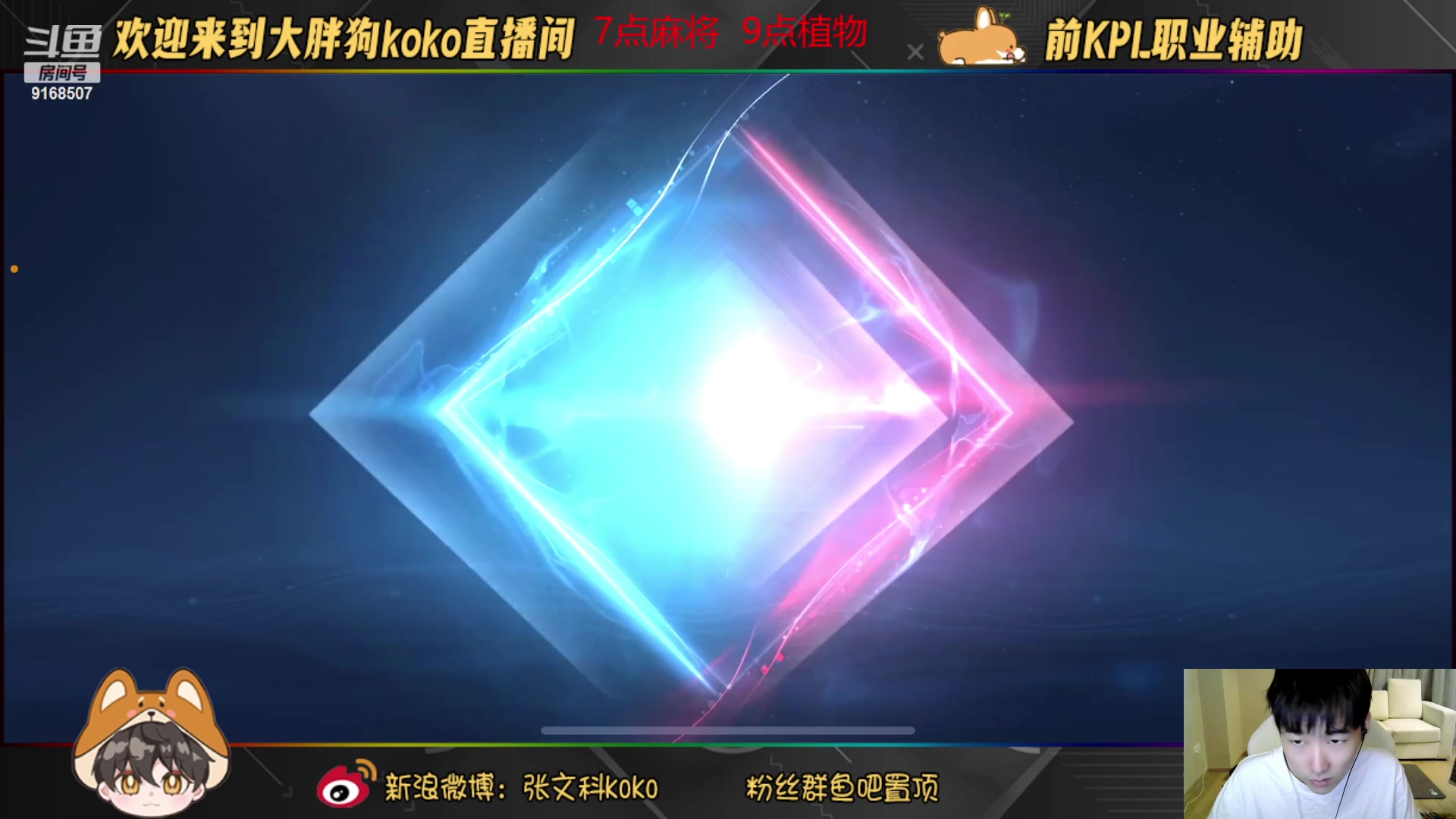 【2023-09-01 17点场】大胖狗koko：风里雨里 狗子等你