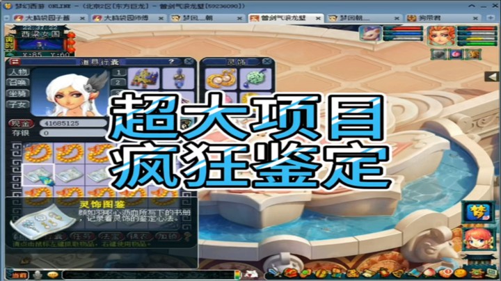 梦幻西游超大项目疯狂鉴定