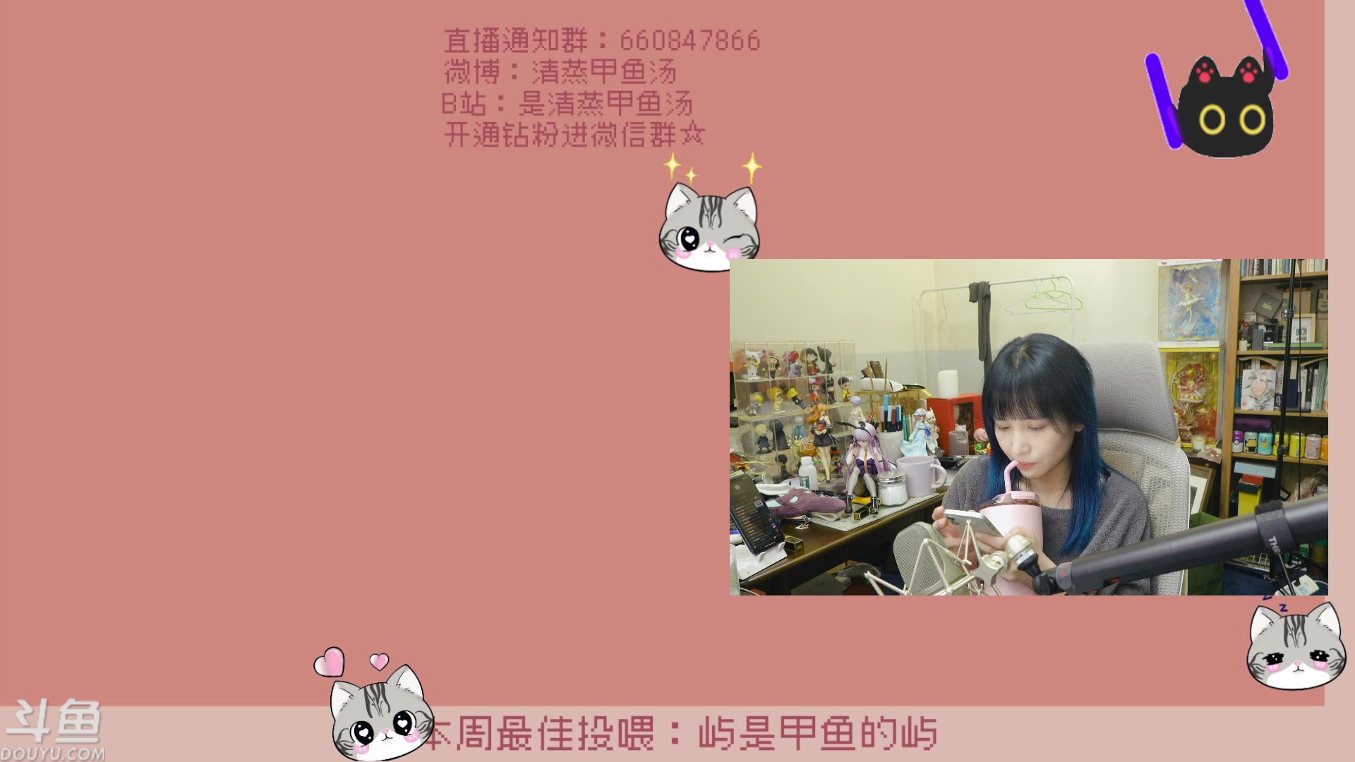 【2023-08-27 01点场】清蒸甲鱼汤：甲鱼：从勇者林克到小偷