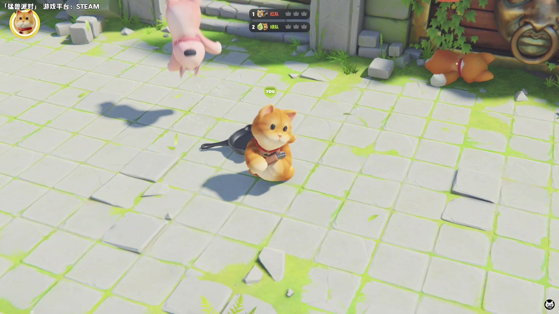 【2023-09-02 00点场】老猫CatGames：【Cat】猛兽派对 搞笑来袭