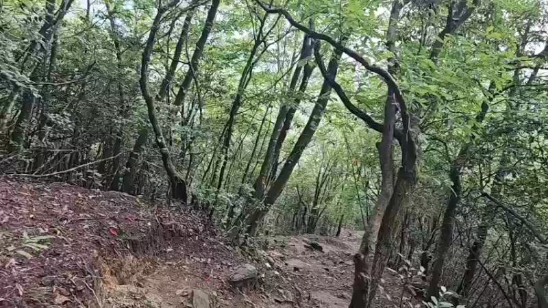 【2023-09-01 16点场】蓝战非OvO：江西萍乡武功山～环游第166天