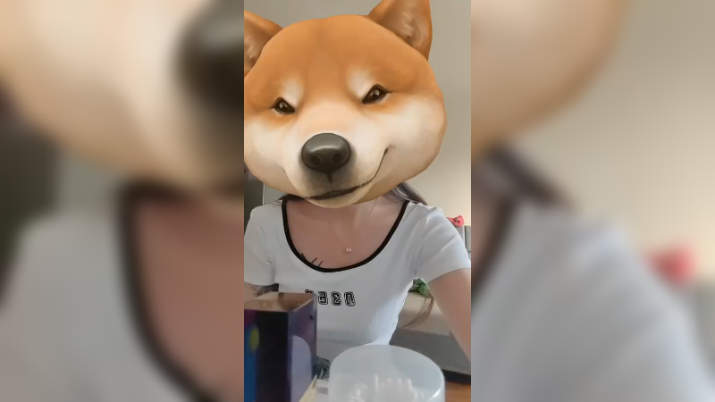 【2023-08-25 19点场】晚辞77：【鹿鹿代播】户外活动！。