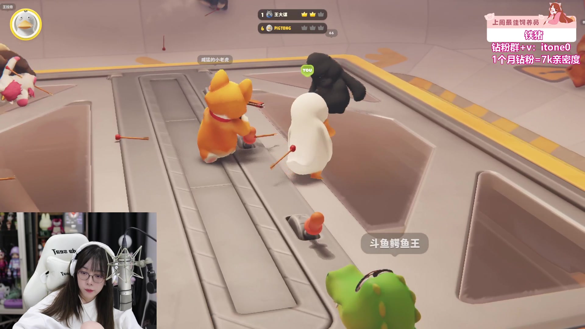 【2023-09-01 21点场】童猪啊i：黄金双倍）恭喜铁猪50级牌牌喽！