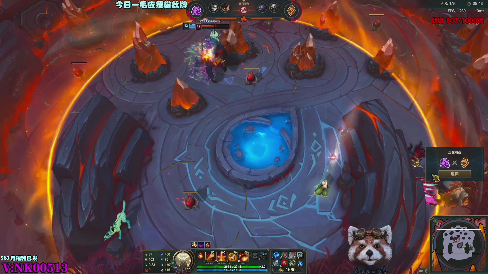 【2023-09-03 08点场】爷大干：千鸡小王子~~