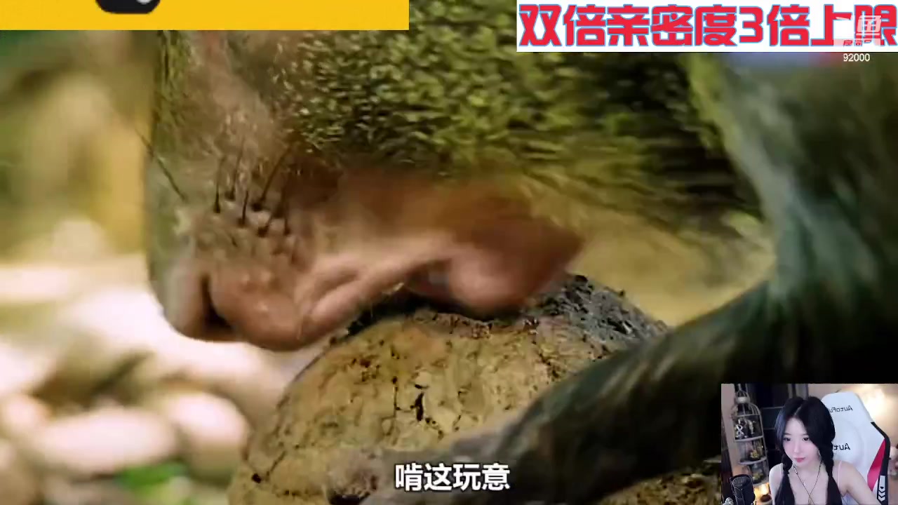 【2023-09-03 07点场】呆妹儿小霸王：【黄金3倍】一起see