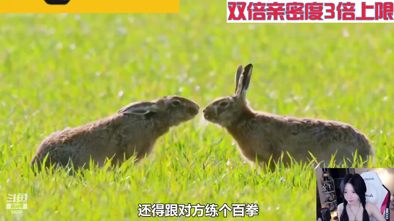 【2023-09-03 05点场】呆妹儿小霸王：【黄金3倍】一起see