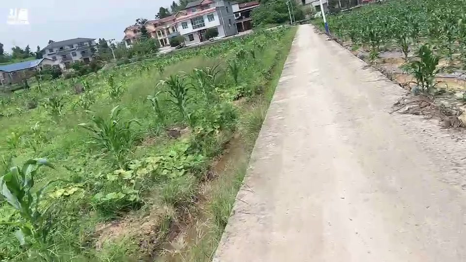 【2023-9-1 12点场】惠娜娜呀:【小奶团】985团播