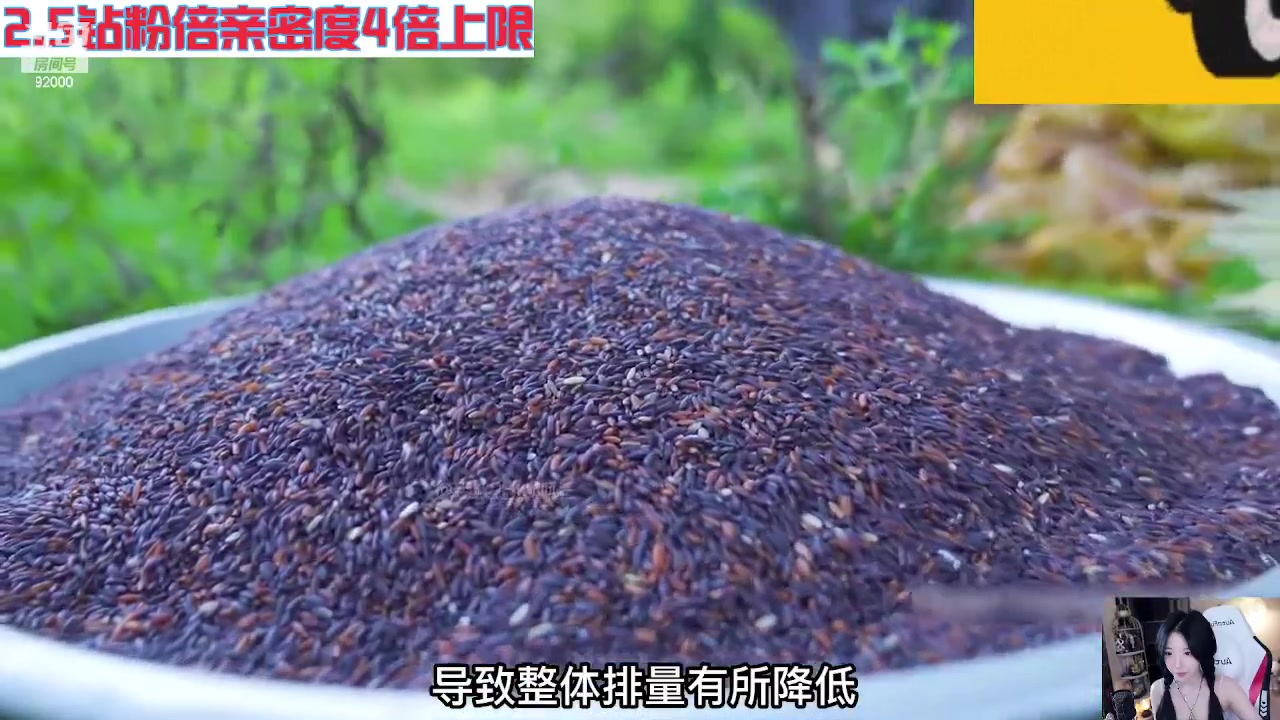 【2023-09-04 07点场】呆妹儿小霸王：【钻粉2.5倍】一起see