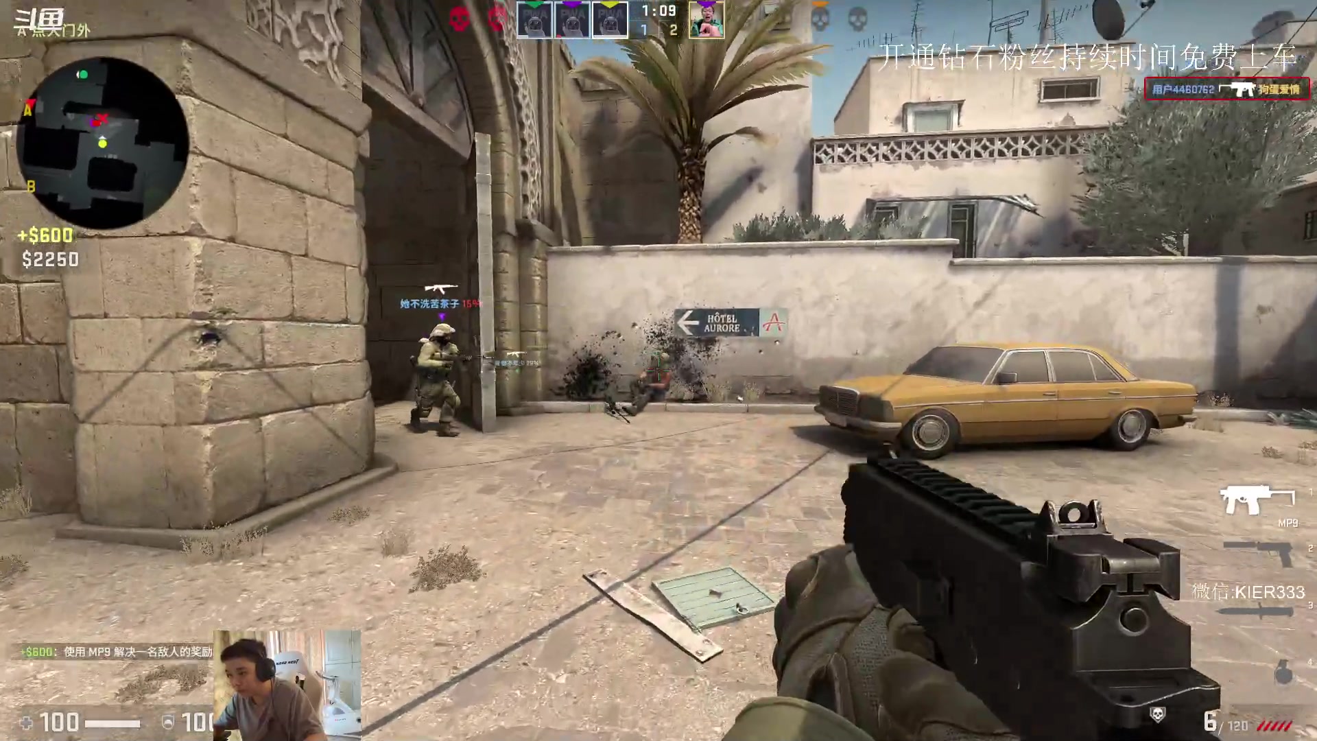 【2023-09-04 08点场】叶子长青K：长青派火猫 凶得批爆