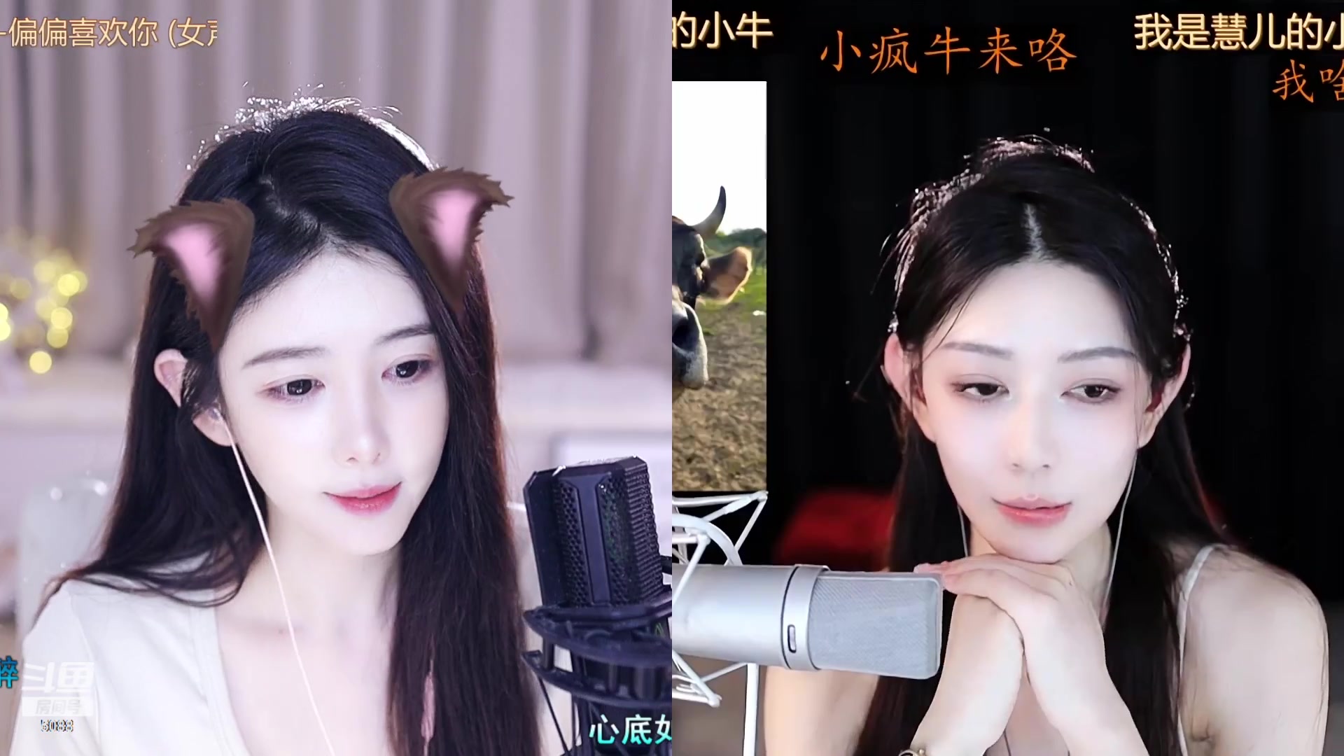 【2023-09-04 18点场】晒网的慧儿呀：小狗周一上班~