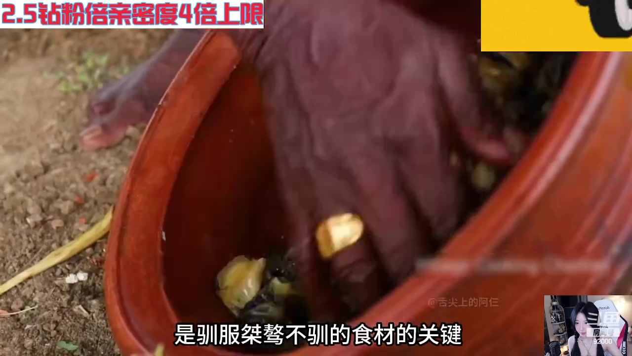 【2023-09-04 03点场】呆妹儿小霸王：【钻粉2.5倍】一起see