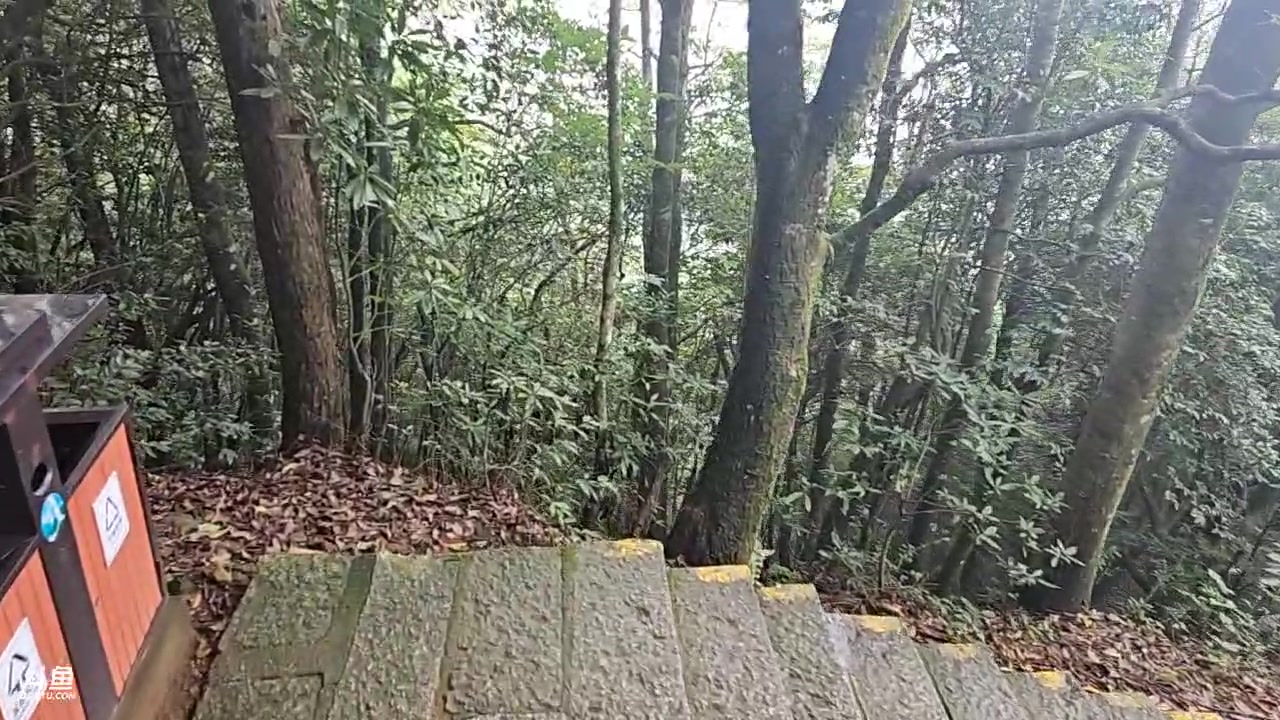 【2023-09-03 12点场】蓝战非OvO：武功山最高难道49公里～环游第168天