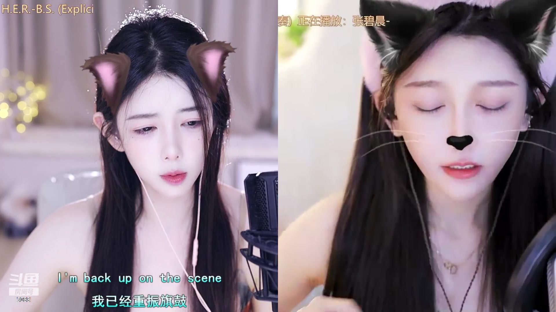 【2023-09-05 13点场】晒网的慧儿呀：小狗努力上班呀