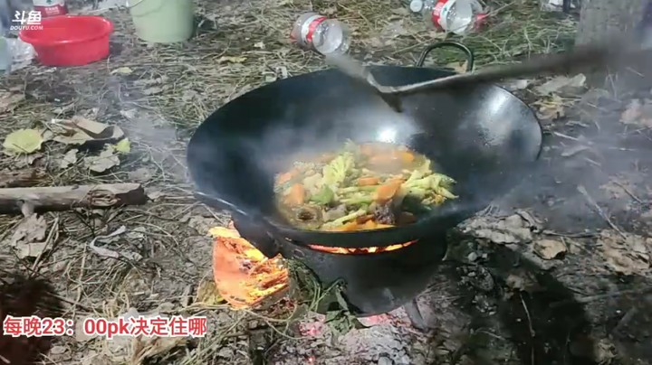 洪湖乡野趣味团播美女安安做菜，其他人都吃完了