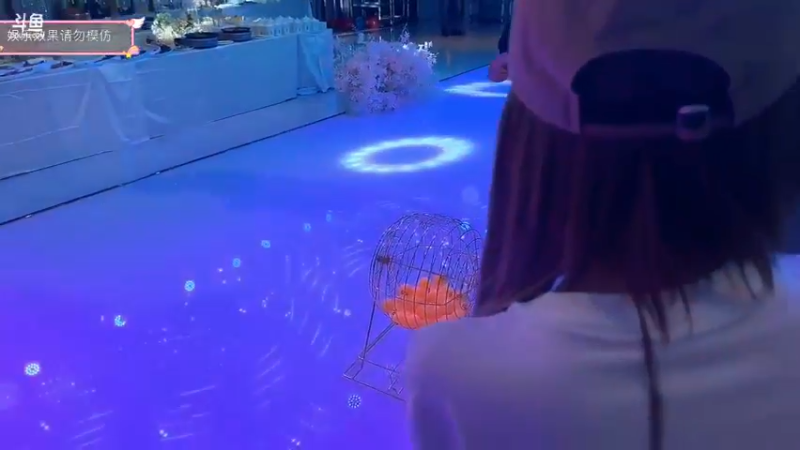 博哥让弹幕抽奖决定最后大奖人，小九获得了大奖