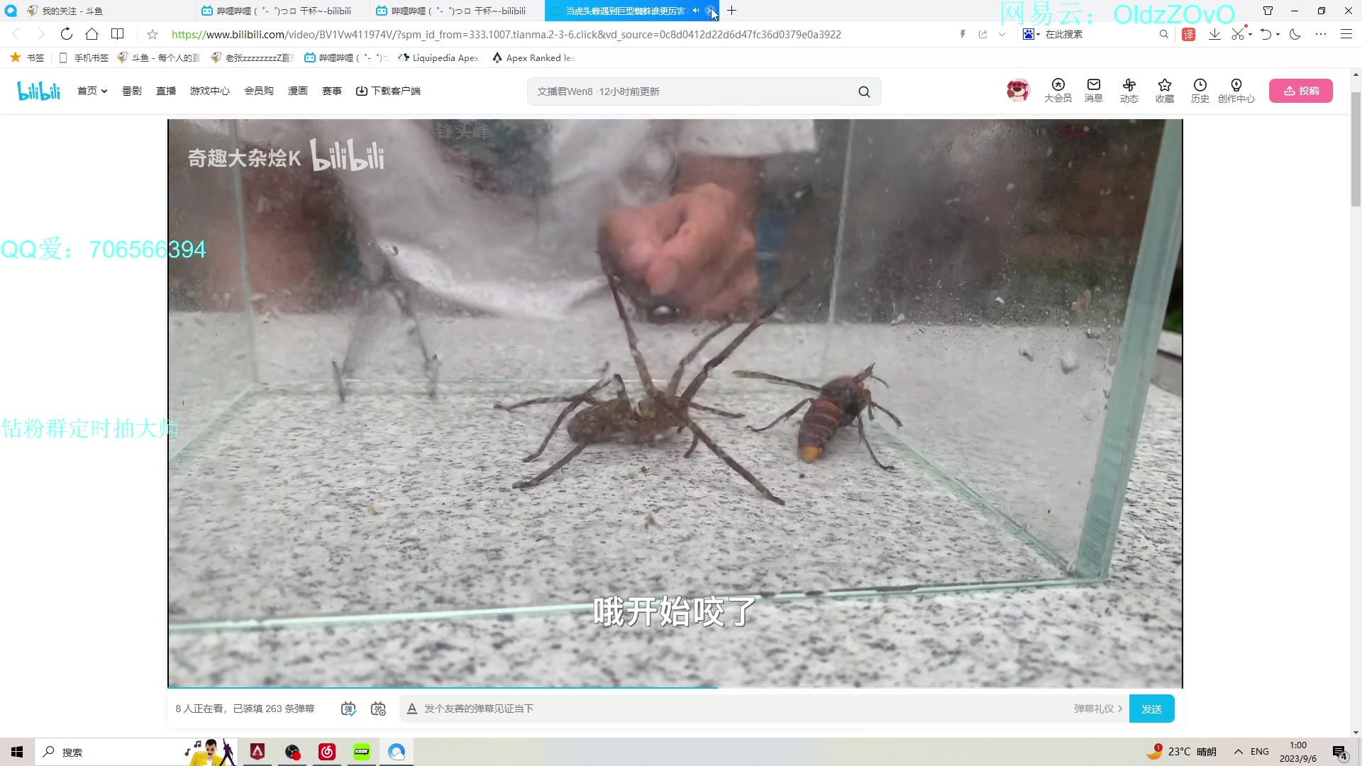 【2023-09-06 00点场】老张zzzzzzzzZ：呜呼呜呼呜呼呜呼 6218591