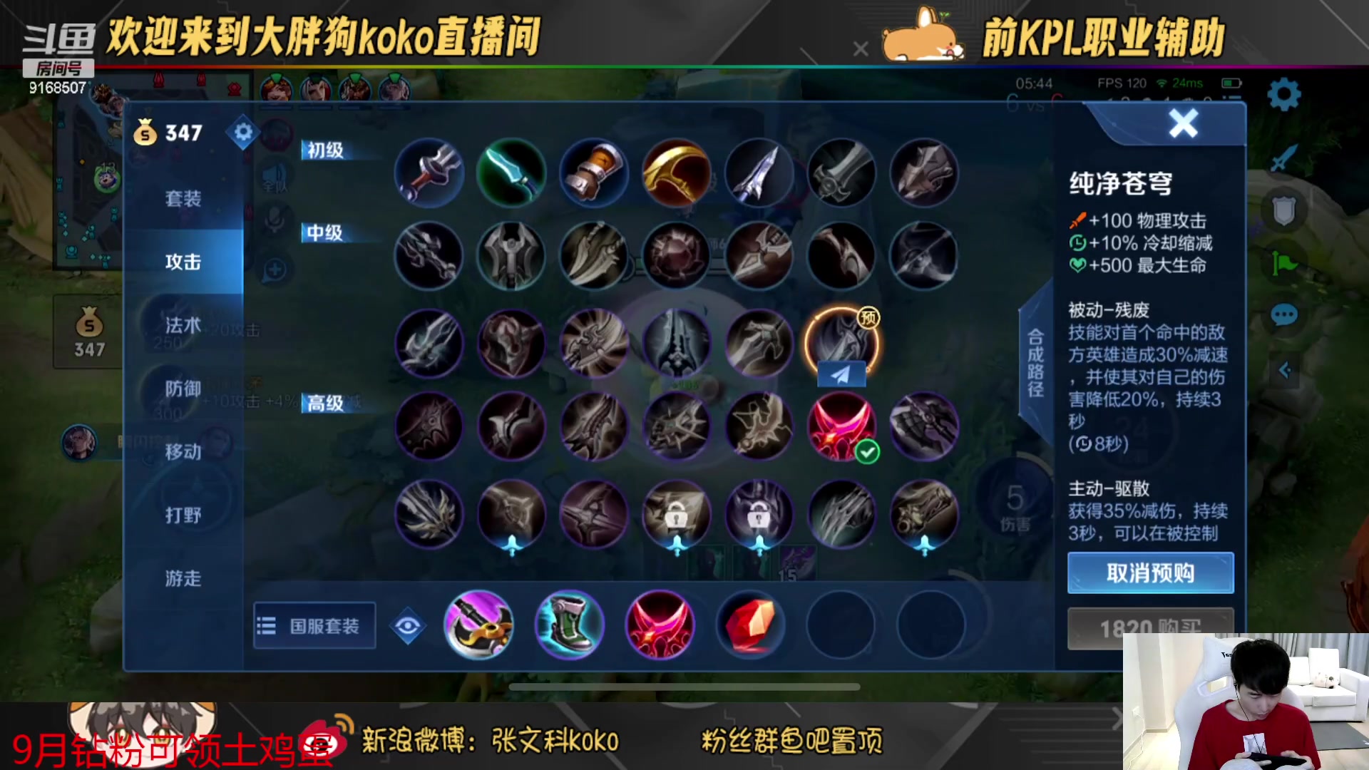 【2023-09-07 17点场】大胖狗koko：风里雨里 狗子等你