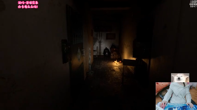 【弈仙牌】丶干物喵的精彩时刻 20230907 08点场