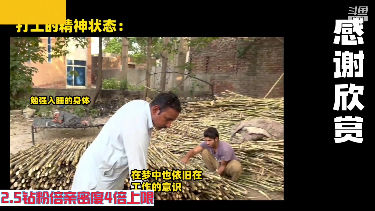 【2023-09-08 05点场】呆妹儿小霸王：【钻粉2.5倍】一起see