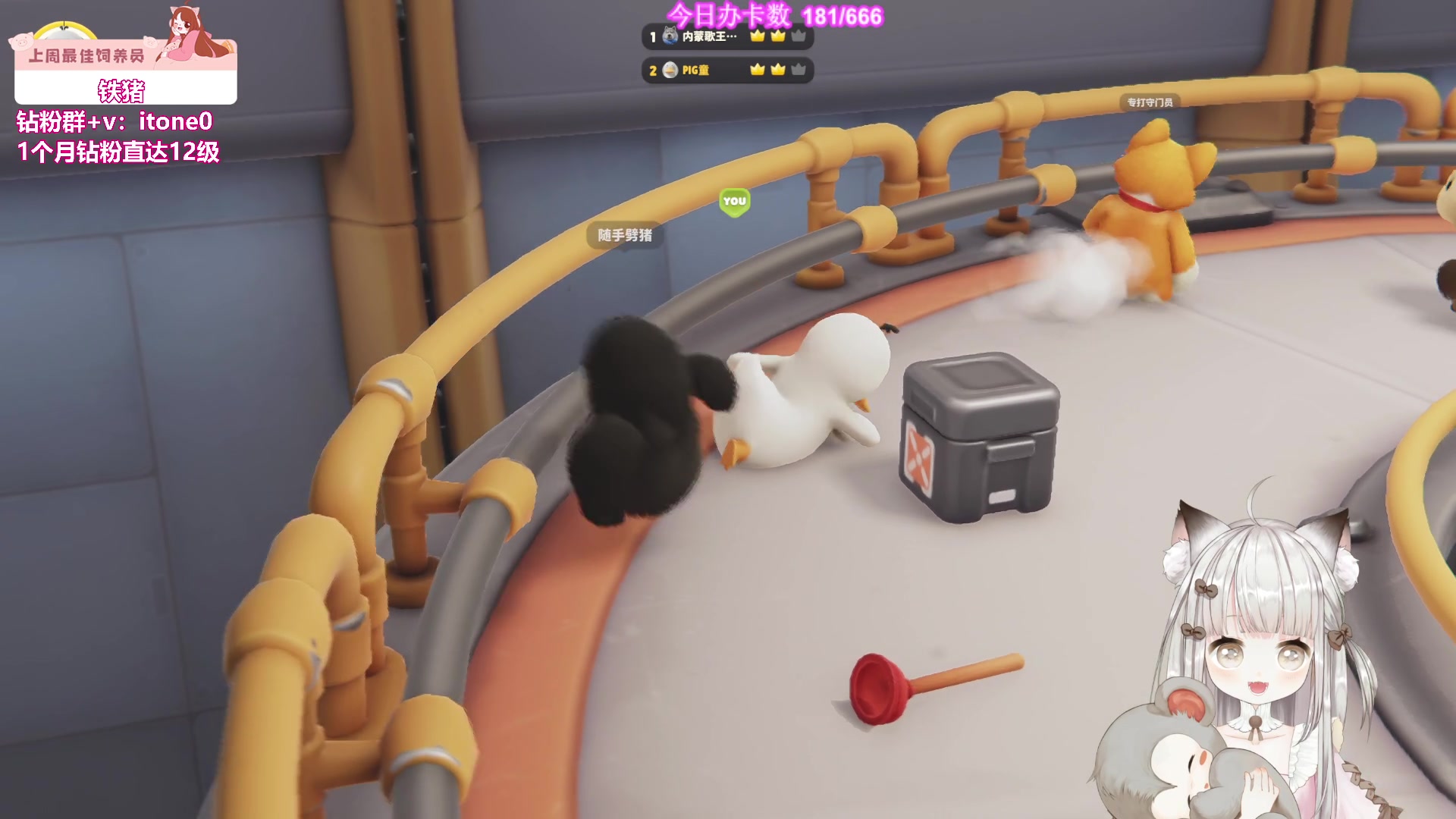 【2023-09-08 19点场】童猪啊i：1元卡粉丝牌啦~