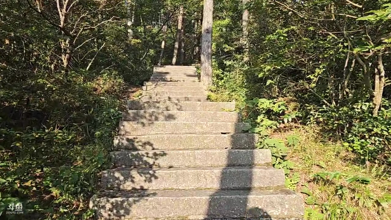 【2023-09-07 16点场】蓝战非OvO：徒步庐山～环游第172天
