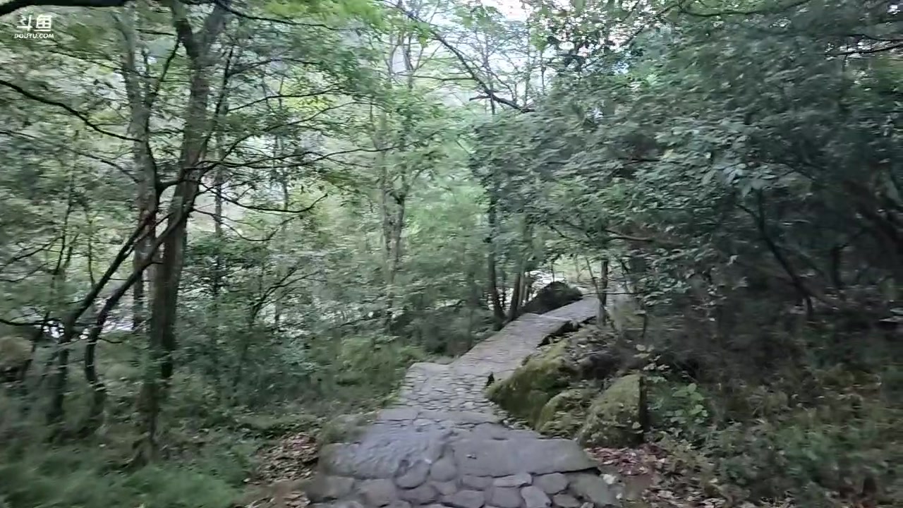 【2023-09-07 17点场】蓝战非OvO：徒步庐山～环游第172天