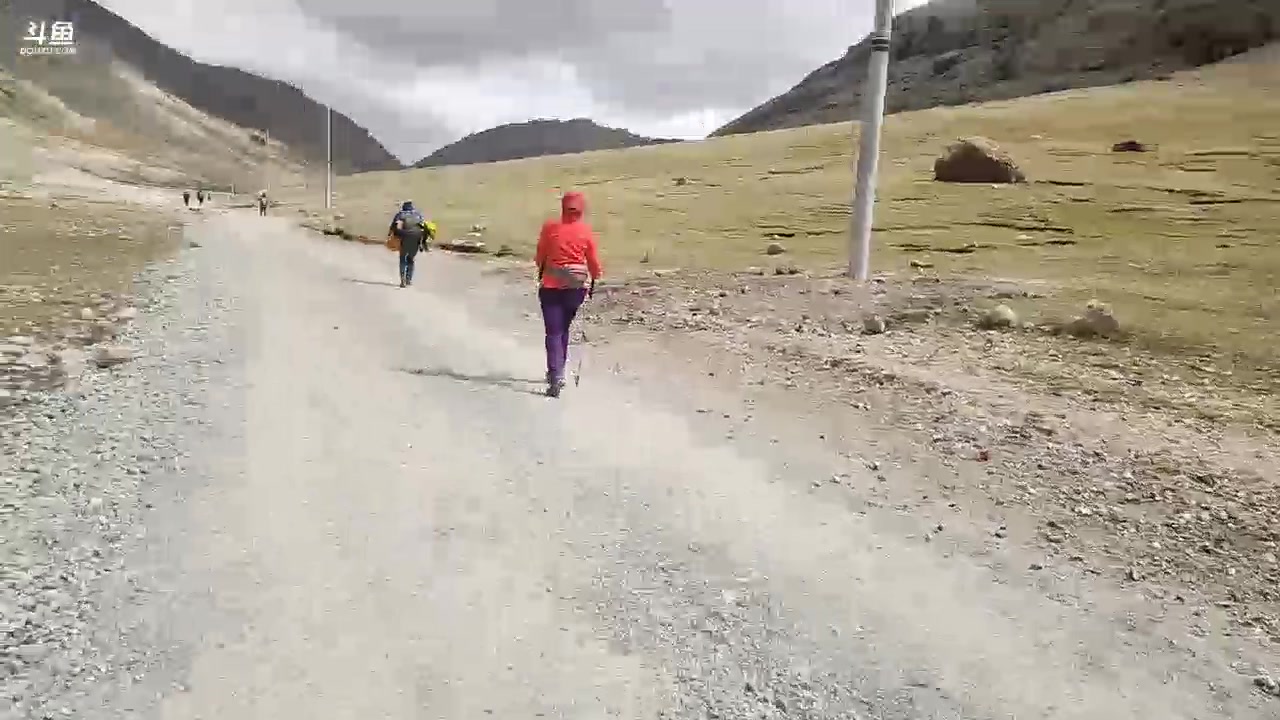 【2023-09-05 12点场】叶子户外：《纪实直播》day36最快转冈仁波齐