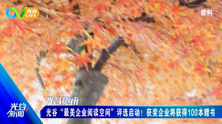 20230908光谷新闻周五版