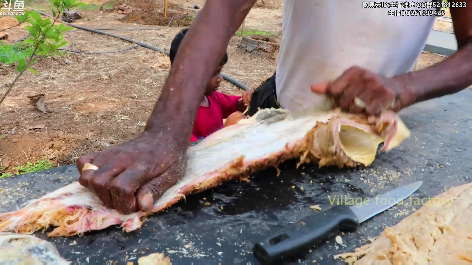 【2023-09-05 04点场】胖胖灬：胖胖OB：LPL集训，神 王者900点