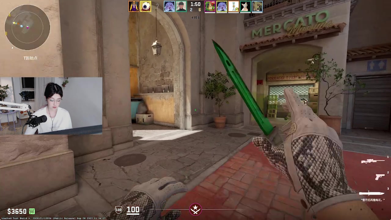【2023-09-09 20点场】阿音w：【摄像头】你好CSGO~