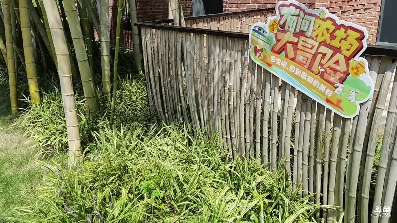 【2023-09-09 12点场】Zhou陈尧：有间农场day2！
