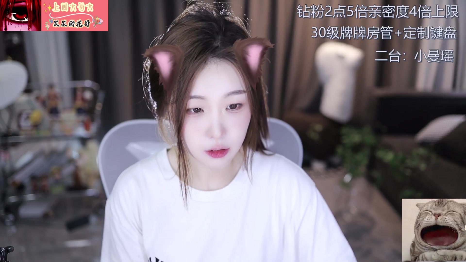 【2023-09-09 14点场】呆妹儿小霸王：【钻粉2.5倍】二台小曼瑶