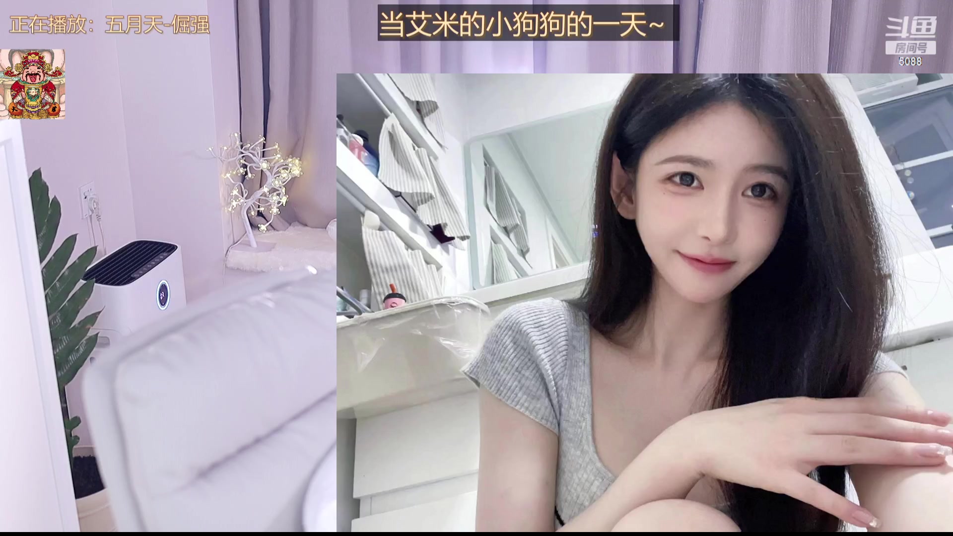 【2023-09-09 15点场】晒网的慧儿呀：小狗要努力上班呀~